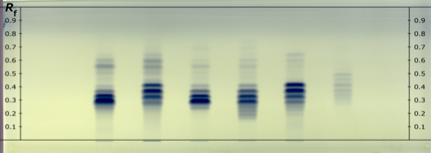 Developed HPTLC plate for a fixed oil sample A real developed HPTLC Silica Gel 60 RP18 F254 plate showing blue tracks labeled as 1, 2, 3, 4, 5, and 6 from left to right for different fixed oil samples
