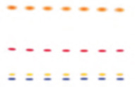 tlc-chromatographic-separation Chromatogram of TLC Silica Gel 60 G plates in the Ph. Eur. performance test