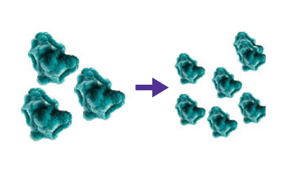 An image of organoids with small molecule compounds applied. An image of organoids with small molecule compounds applied.