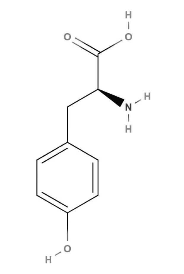 Structure of sulfotyrosine L-tyrosine chemical structure Keywords: L-tyrosine, tyrosine, amino acids