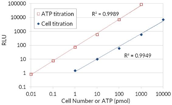 生物发光 ATP 荧光素酶细胞活力测定图