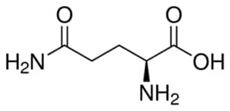 L-glutamine chemical structure L-谷氨酰胺化学结构
