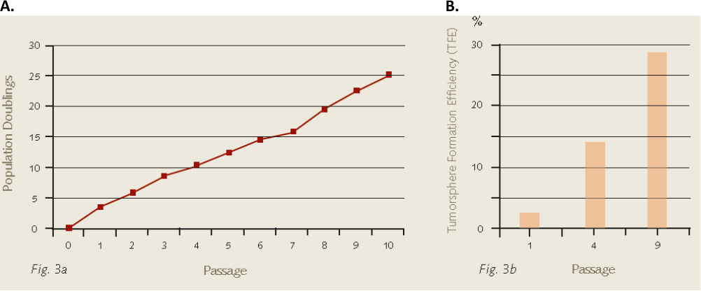 Microsoft Word - Promocell Mammosphere Tech Article (6) Population doublings and tumor formation efficiencies of MCF-7 breast cancer cells during 3D mammosphere culture.