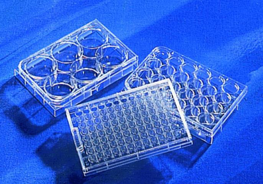 3D球状体形成平板 3D球状体形成平板