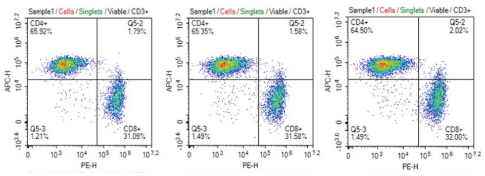 CD4+/CD8+ phenotype distribution T cells in culture media filtered using Stericup<sup>®</sup> PES filters Consistent CD4+/CD8+ phenotype of T cells cultured in cell culture media filtered 1X, 5X, or 10X using Stericup® Quick Release PES filters