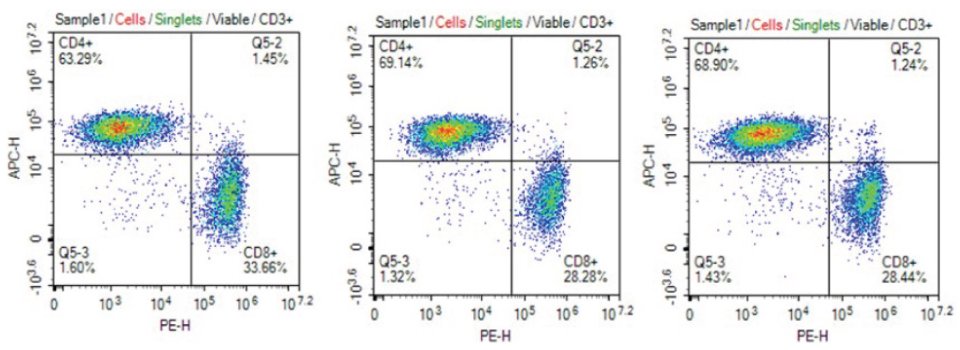 CD4+/CD8+ phenotype distribution T cells in culture media filtered using Stericup<sup>®</sup> PVDF filters Consistent CD4+/CD8+ phenotype of T cells cultured in cell culture media filtered 1X, 5X, or 10X using Stericup® Quick Release PVDF filters
