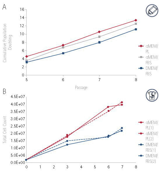 Growth of hMSCs cultured in αMEM supplemented Growth of hMSCs cultured in αMEM supplemented
