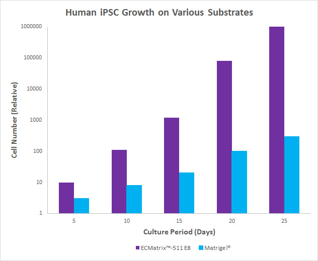 Human iPSC Growth on Various Substrates Human iPSC Growth on Various Substrates