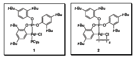 Figure 1 Figure 1