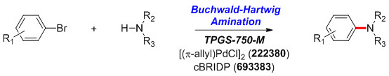 buchwald-hartwig-amination-reaction Buchwald-Hartwig Amination Reaction