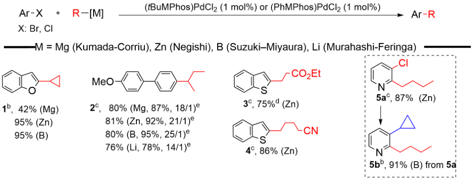 csp2 csp3 coupling using mphospdcl2 MPhos catalysts are very versatile for many types of couplings, Murahashi−Feringa (Li), Kumada−Corriu (Mg), Negishi (Zn) and Suzuki−Miyaura (B).