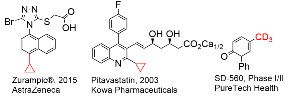 Example of drug like molecules Examples of “drug-like” molecules containing CD3 or cyclopropyl fragments.