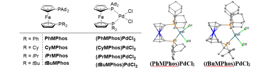 MPhos ligands and catalysts MPhos ligands and catalysts are a series of highly tunable unsymmetrical Ferrocene ligands.
