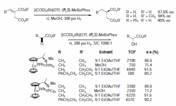 Scheme 8 Scheme 8
