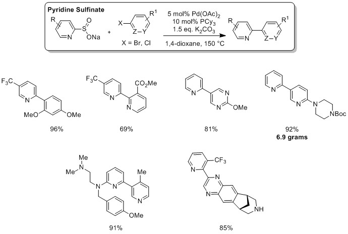 ts-willis-pyridinates-fig2 A series of chemical reactions showcasing the use of Willis Pyridinates in Palladium-Catalyzed Cross-Coupling Reactions. At the top, a reaction scheme illustrates the transformation of a pyridine sulfinate compound to various substituted pyridines using Pd(OAc)2 as a catalyst, XPhos as a ligand, and K2CO3 as a base in 1,4-dioxane at 150°C. Below are six examples of this reaction with different substituents on the pyridine ring and their corresponding yields, one notably being 92% with an annotation of ‘6.9 grams’. Each product is depicted with clear molecular structures indicating the position and type of substituents like fluorine atoms or methoxy groups.