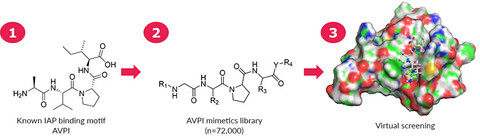 Interaction between AVPF and 4LGE A 168-member mimetics focused library based on AVPI was assembled for virtual screening. On the right is shown the interaction between AVPF and 4LGE.