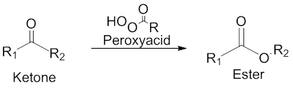 A chemical reaction diagram showing the conversion of a ketone (left) to an ester (right) using a peroxyacid (center). The ketone is represented with a carbonyl group (C=O) and two substituents (R1 and R2). The peroxyacid is shown with a peroxide linkage (–O–O–) and a hydroxyl group (–OH). The resulting ester is depicted with a carbonyl group and an ether linkage (–O–) connected to R1 and R2.