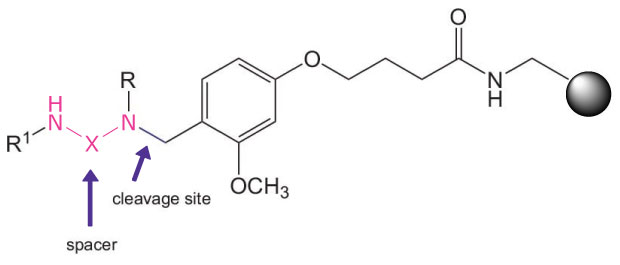 Chemical structure of a resin-bound linker system with a cleavage site, represented using black lines for bonds and element symbols for atoms. A benzyl ether moiety with a methoxy (-OCH₃) group is present in the center of the structure. To the right, a peptide backbone extends, terminating in a solid black sphere, indicating the resin support. On the left side, a spacer region is labeled with a purple arrow pointing to a segment containing an amide (-NH) and a secondary amine (-N) linkage, marked in pink. Another purple arrow labeled "cleavage site" points to the bond adjacent to the secondary amine, indicating where enzymatic or chemical cleavage would occur. The structural elements are arranged to illustrate how the resin facilitates peptide synthesis and cleavage at a specific site.