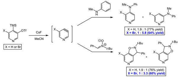 Pyridyne precursors Scheme showing pyridyne precursors reacting with nucleophiles to form regioisomeric products, with yields and ratios for X = H or Br.