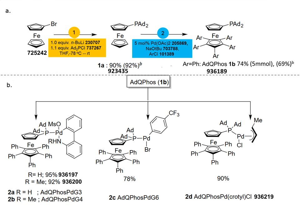 Synthesis of AdQPhos and precatalysts A two-part synthetic scheme outlining the preparation of the bulky ligand AdQPhos and its palladium precatalysts. In part (a), the synthesis of AdQPhos is illustrated in two steps. The starting material, a ferrocene derivative bearing a bromine substituent, reacts with n-butyllithium and a phosphine chloride reagent to form an intermediate compound labeled 1a with a phosphine-adamantyl substituent. This step proceeds with 90% yield, noted in parentheses as 92%. In the second step, this intermediate is reacted in the presence of palladium acetate, sodium tert-butoxide, and an aryl chloride to produce AdQPhos, labeled 1b, in 82% yield (78% isolated yield), where the aryl groups are phenyl substituents. Each reagent and intermediate is identified by product numbers. Part (b) shows the derivatization of AdQPhos into a series of palladium precatalysts. AdQPhos is shown at the top center with arrows pointing to four distinct complexes. The first complex, labeled 2a and 2b, incorporates a sulfonamide biphenyl ligand coordinated to Pd with AdQPhos; 2a has a hydrogen substituent and 2b has a methyl group, with yields of 95% and 92%, respectively. The second structure, labeled 2c, is a Pd complex with a trifluoromethylated aryl bromide ligand, formed in 78% yield. The third structure, 2d, is an allyl-type complex, AdQPhosPd(crotyl)Cl, formed in 90% yield. All structures share a ferrocene backbone with phenyl-substituted rings and are ligated to palladium through the AdQPhos ligand, which contains bulky adamantyl substituents on the phosphorus center.