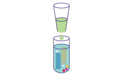 An illustration depicting the optional step of adding DNase or RNase to degrade unwanted nucleic acids, depending on the desired outcome.