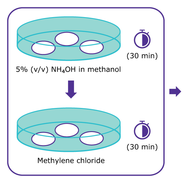 Workflow diagram showing cleaning of filters by soaking filters in 5% volume per volume ammonium hydroxide in methanol for 30 minutes, followed by soaking filters in methylene chloride for 30 minutes.