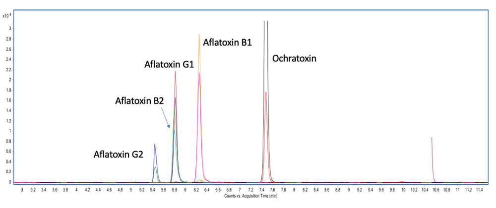 Chromatogram of Mycotoxin A chromatogram showing the analysis of five mycotoxins under identical chromatographic conditions. The x-axis, labeled “Counts vs. Retention Time (min),” ranges from 0 to 12 minutes, while the y-axis, labeled “Intensity,” ranges from 0 to 2.5e7. Distinct peaks are labeled for Aflatoxin B1, G1, B2, G2, and Ochratoxin. The concentrations are 100 pg/µL for Aflatoxin B1 and G1, 30 pg/µL for Aflatoxin B2 and G2, and 500 pg/µL for Ochratoxin in a solvent mixture of acetonitrile and water (70/30 v/v).