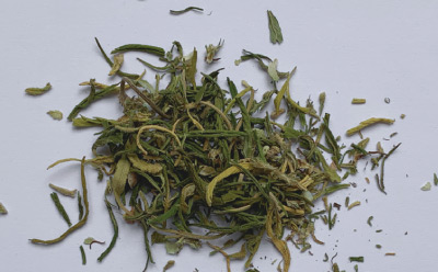 Cannabis sativa “Santhica” Separated into Leaves