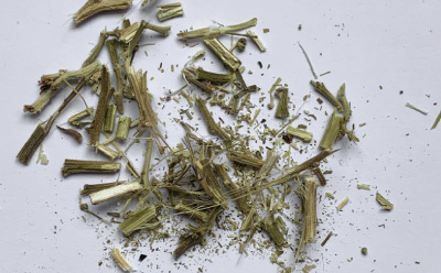 Cannabis sativa “Santhica” Separated into Stems