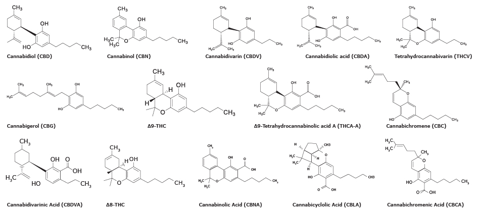 Chemical structures of fourteen cannabinoids Chemical structures of fourteen cannabinoids used in the study to analyze cannabinoids in cannabis
