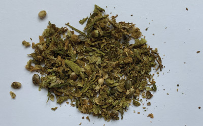 Hemp Buds “Finola” After Three Minutes Grinding Using a Wooden Rolling Pin. Hemp Buds “Finola” After Three Minutes of Grinding Using a Wooden Rolling Pin.