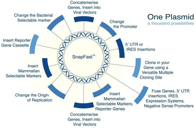 snapfusion-overview