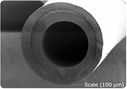 Polysulfone hollow fiber used for ultrafiltration in the Biopa<sup>®</sup> cartridge.
