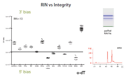 RNA质量测定 RNA质量测定