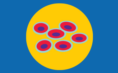 CHOOSE A CELL LINE FOR YOUR SCREEN Choose a cell line for your screen
