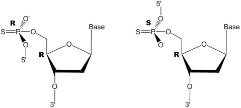 Figure 2. Stereogenic α-phosphorus at one internucleotide linkage. The random R and S configuration results in diastereomers.