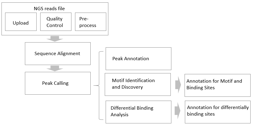 Data analysis workflow Data analysis workflow