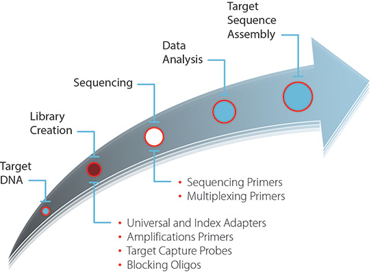 generic-next-gen-sequencing-workflow 通用新一代测序流程