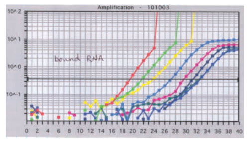 During a standard qPCR the data suddenly spike upward with a non-typical profile During a standard qPCR the data suddenly spike upward with a non-typical profile