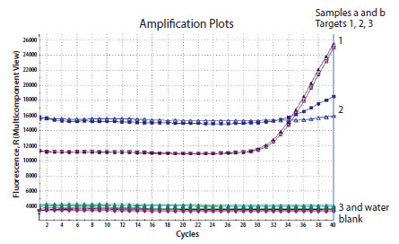 Three genes were detected in the same template sample Three genes were detected in the same template sample