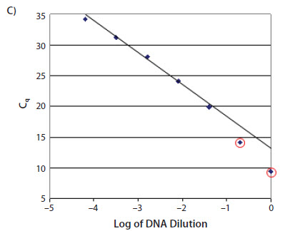 The samples with high concentrations of template do not lie on the standard curve The samples with high concentrations of template do not lie on the standard curve