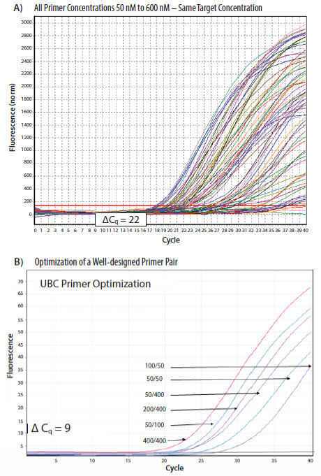 Results from a PCR primers concentration optimization from a SYBR Green I dye assay