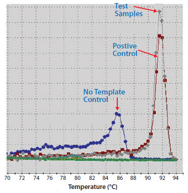 A positive control, test reaction and NTC were amplified A positive control, test reaction and NTC were amplified