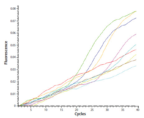The assay has an unusual amplification plot profile with a pronounced drift of the baseline The assay has an unusual amplification plot profile with a pronounced drift of the baseline