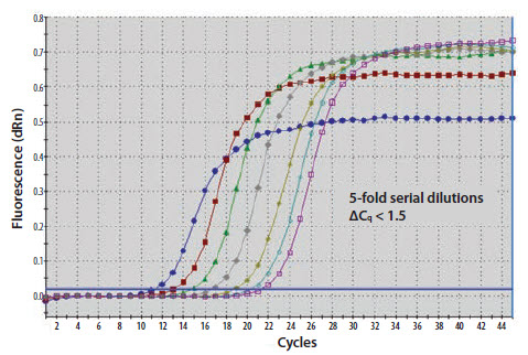 A template nucleic acid was diluted through a 10-fold series A template nucleic acid was diluted through a 10-fold series