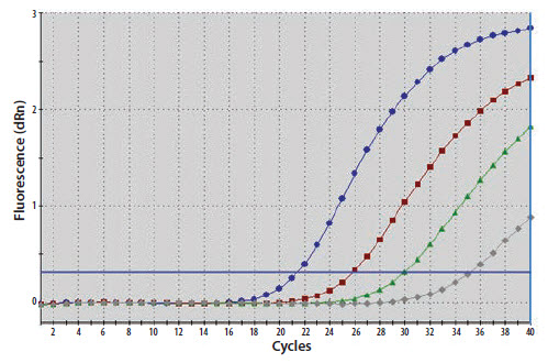 A template nucleic acid was diluted through a 10-fold series A template nucleic acid was diluted through a 10-fold series