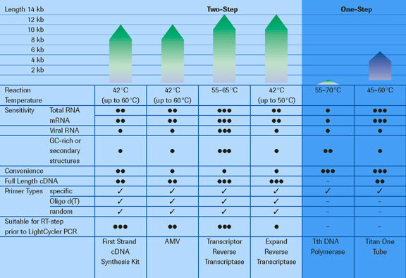 Application profiles of RT-PCR enzymes and kits provided by Roche. Application profiles of RT-PCR enzymes and kits provided by Roche.
