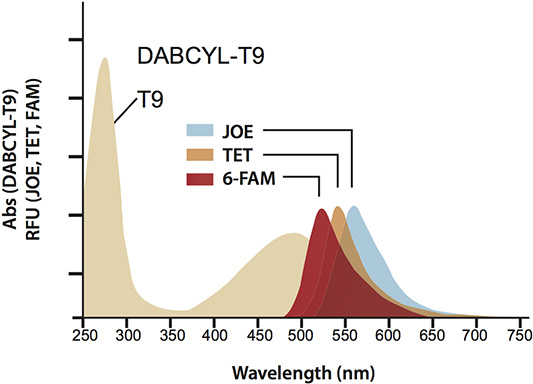 Absorption spectra of DABCYL-T9 Absorption spectra of DABCYL-T9