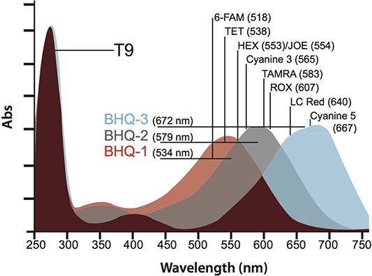 Absorption spectra of the three BHQ variants Absorption spectra of the three BHQ variants