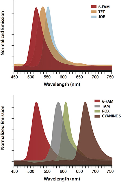 The unique characteristics of the BHQ variants permit flexibility in the choice of spectrally well-resolved reporters The unique characteristics of the BHQ variants permit flexibility in the choice of spectrally well-resolved reporters